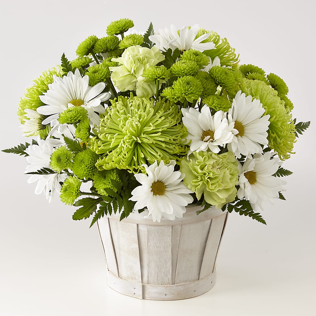 Lucky Charm Basket (Standard) – Nextdayflowers.net, Tontitown AR