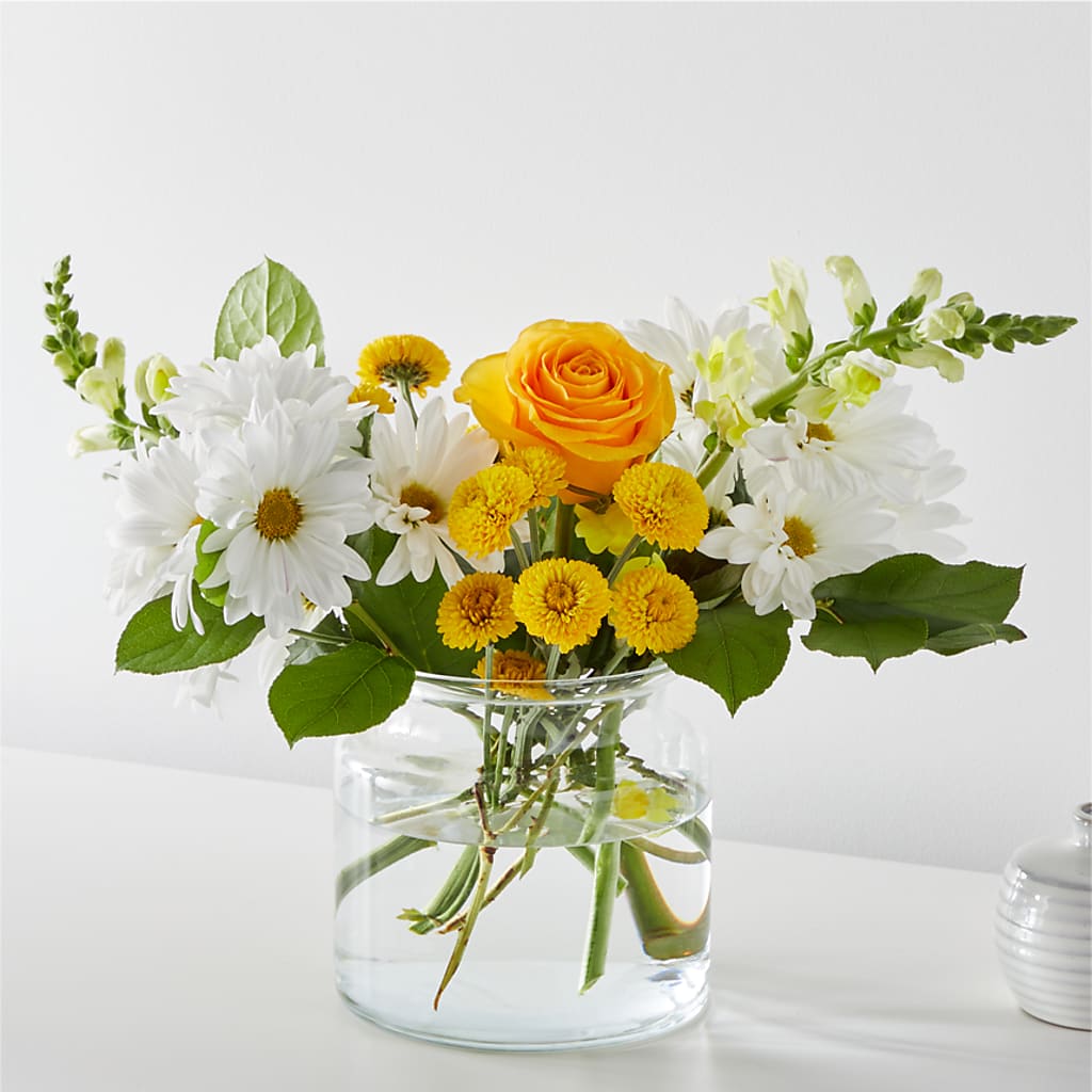 Sun Salutation Bouquet – Nextdayflowers.net, Tontitown AR