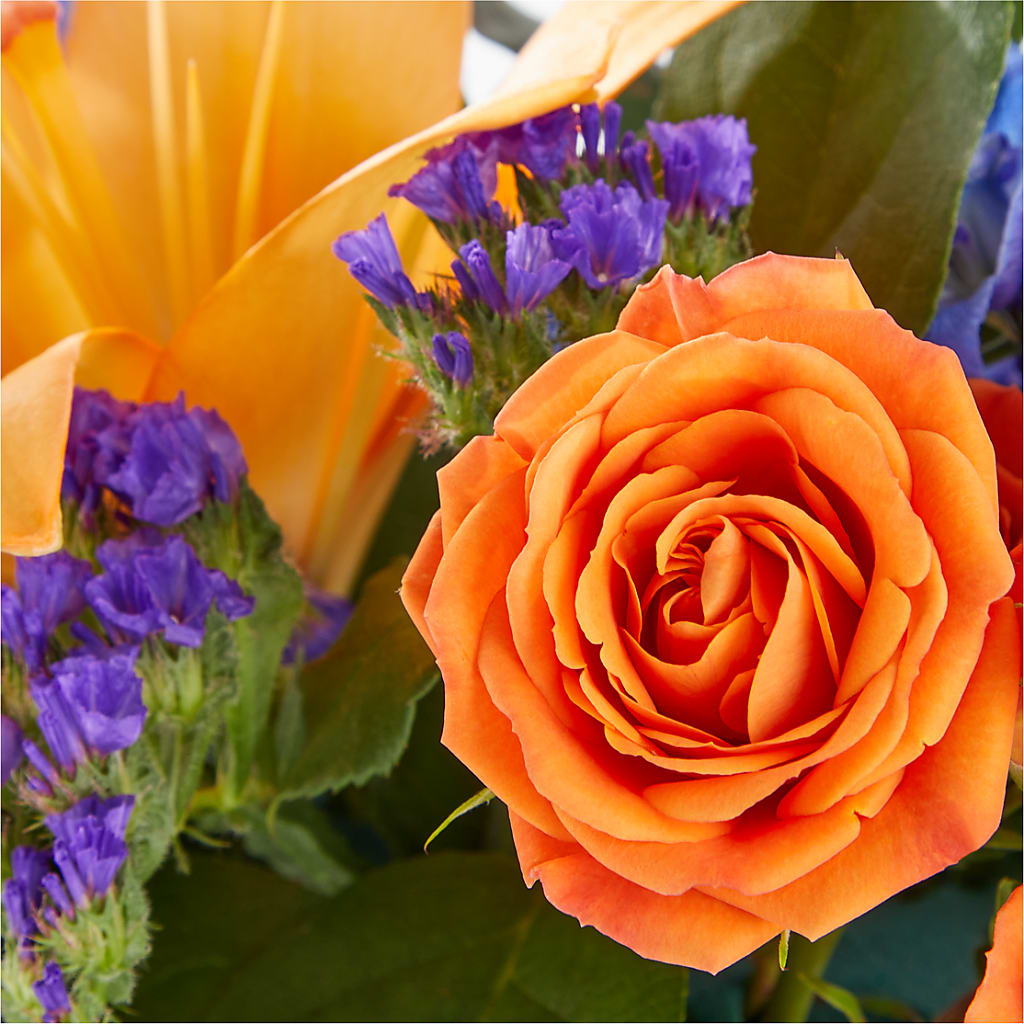 Radiant Citrus Box Bouquet – Nextdayflowers.net, Tontitown AR