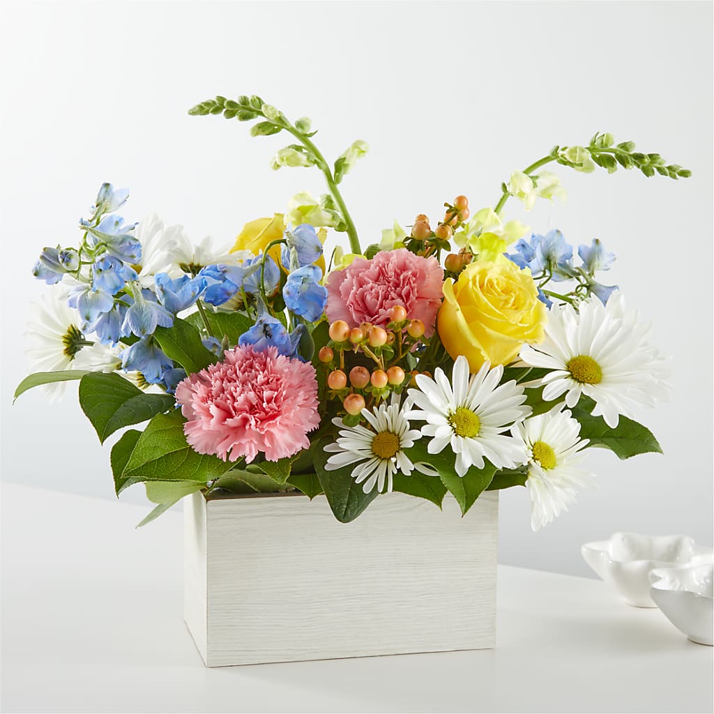 Sun Salutation Box Bouquet – Nextdayflowers.net, Tontitown AR