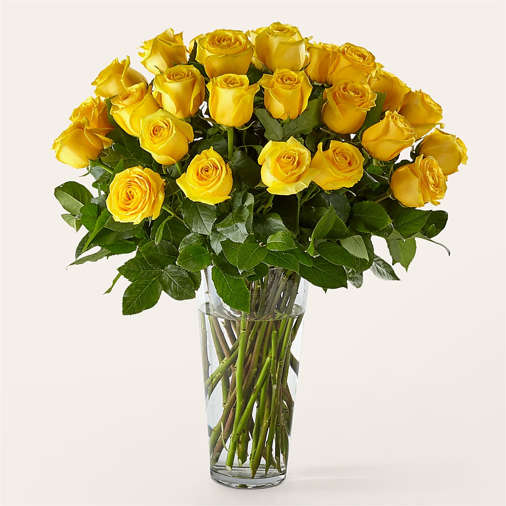 Long Stem Yellow Rose Bouquet – Nextdayflowers.net, Tontitown AR