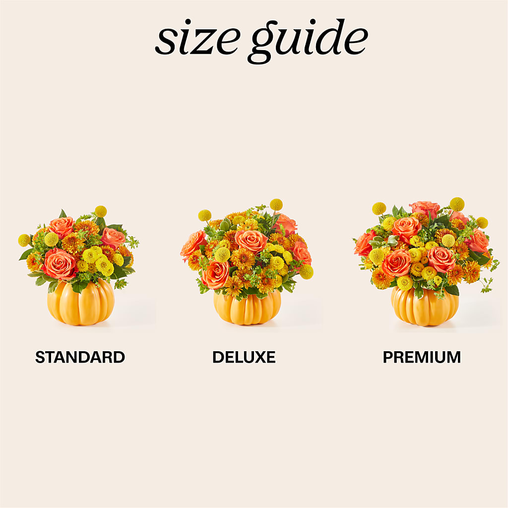 Gourdgeous Pumpkin – Nextdayflowers.net, Tontitown AR