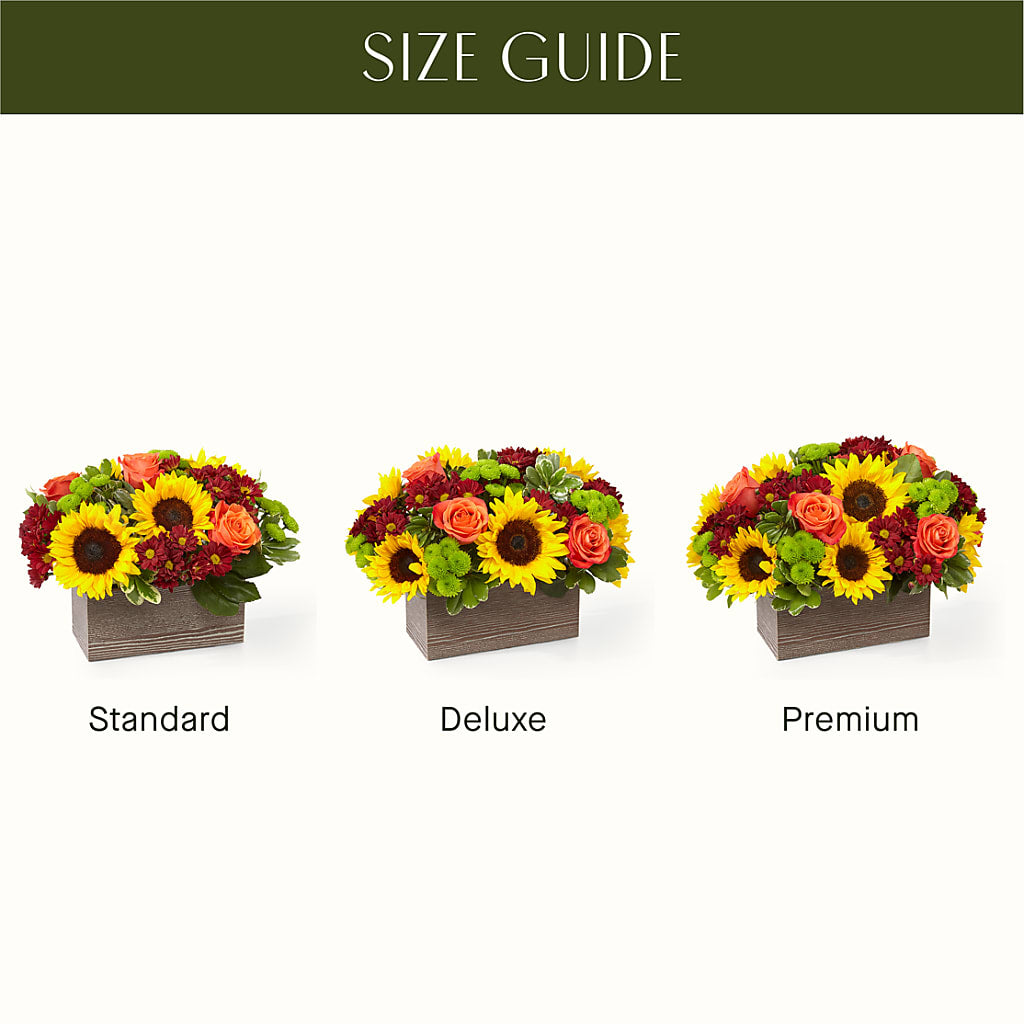 Happy Harvest Garden – Nextdayflowers.net, Tontitown AR