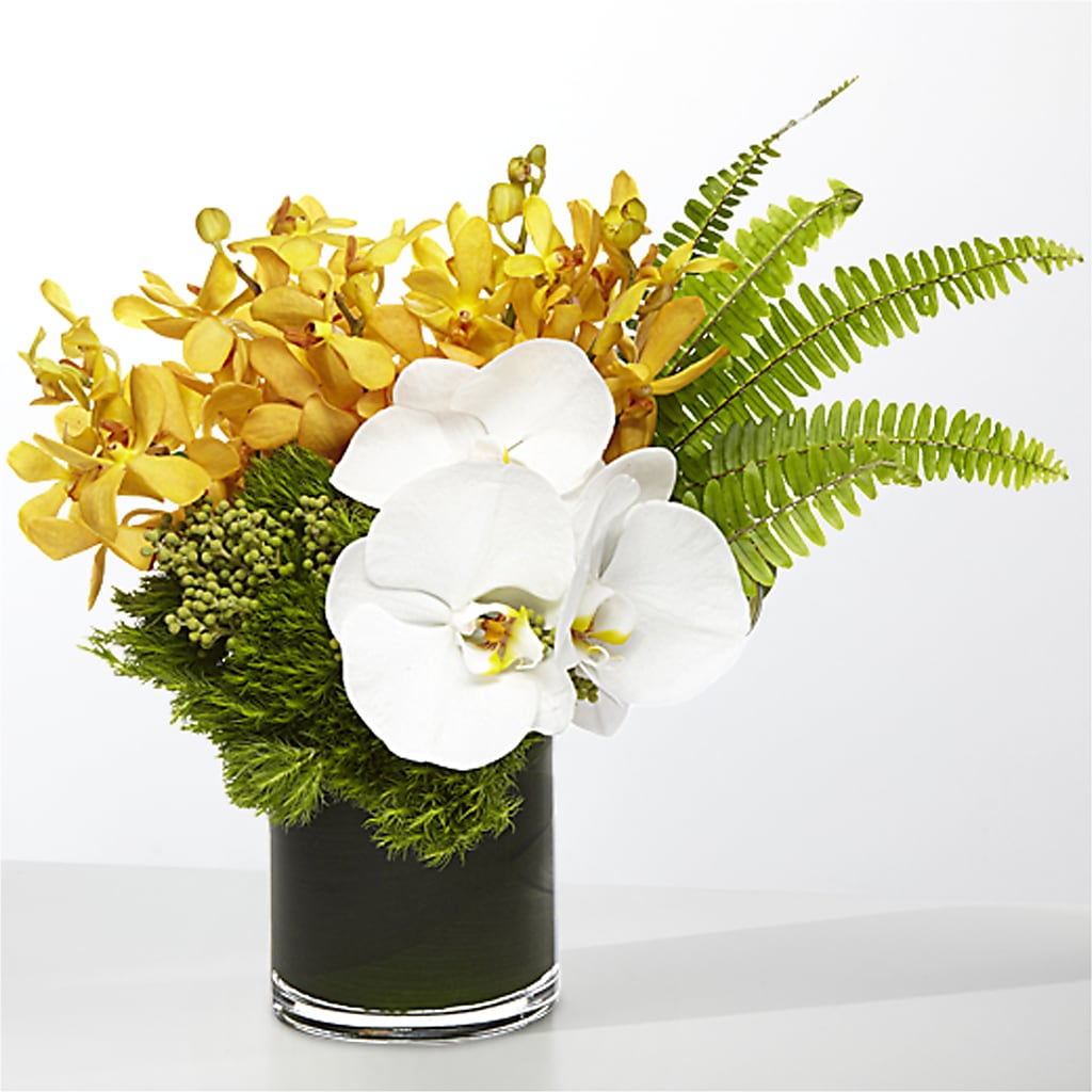 The Tropics – Nextdayflowers.net, Tontitown AR