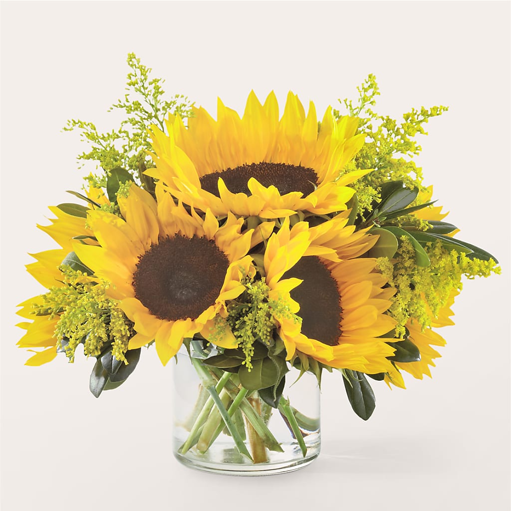 Beaming Sunflower Bouquet – Nextdayflowers.net, Tontitown AR