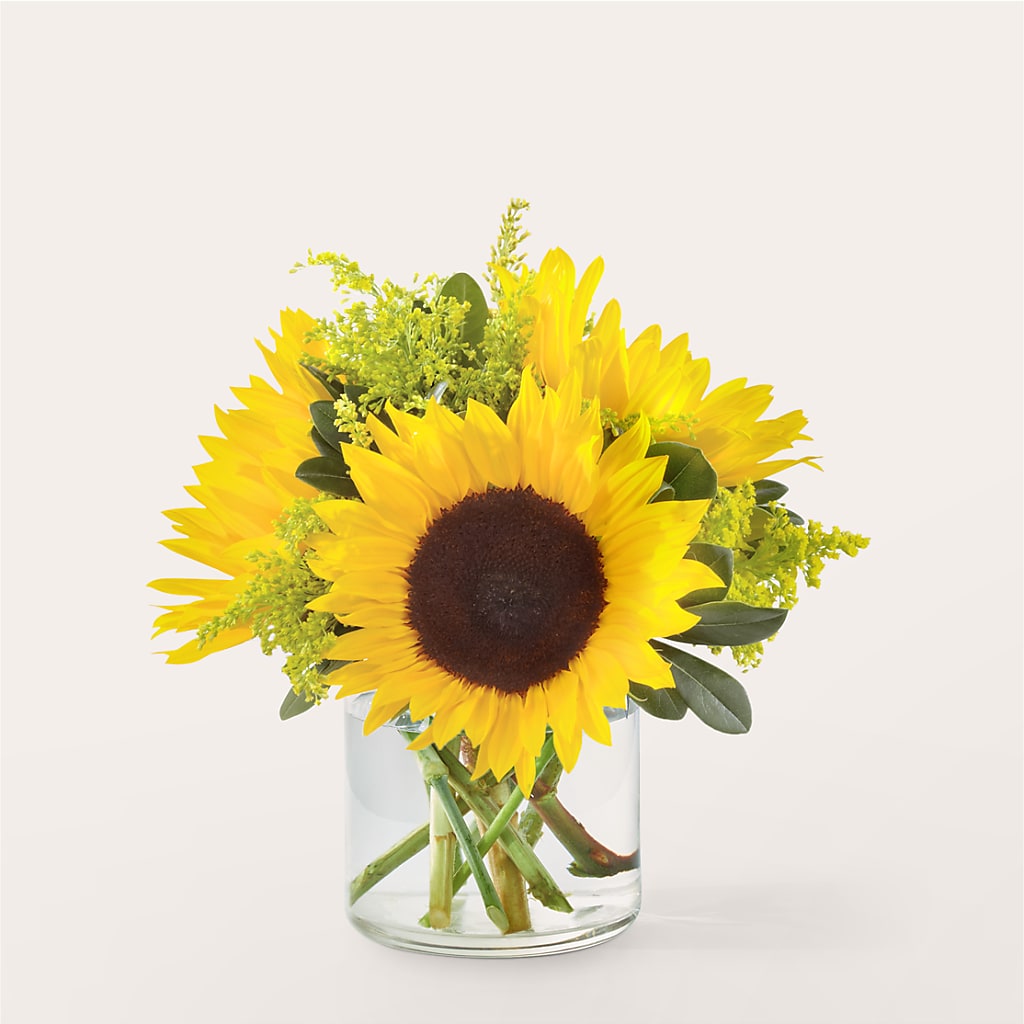 Beaming Sunflower Bouquet – Nextdayflowers.net, Tontitown AR