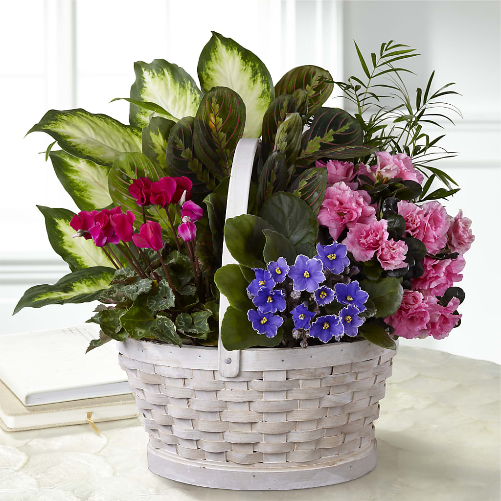 Peaceful Garden Planter – Nextdayflowers.net, Tontitown AR