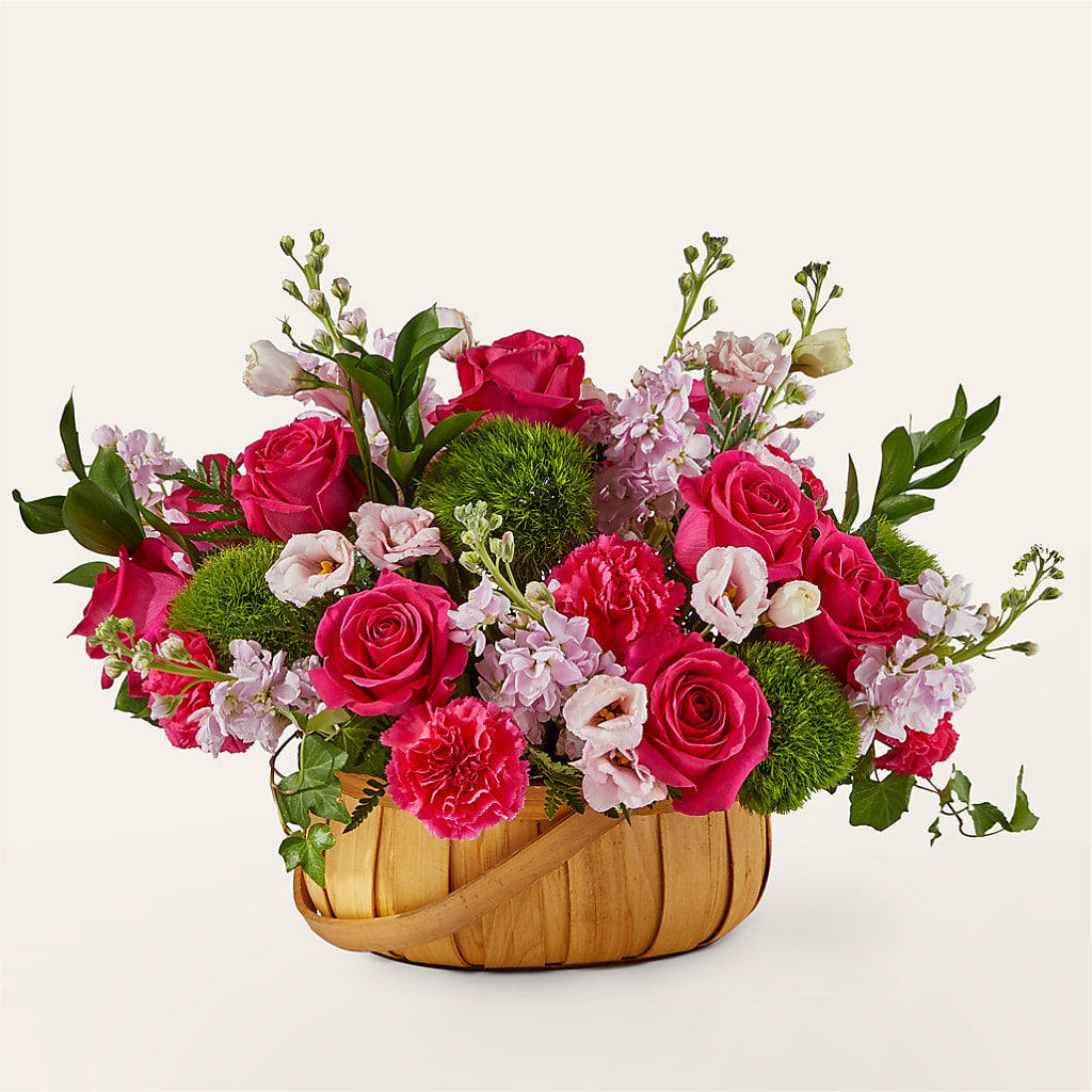Radiance in Bloom Basket – Nextdayflowers.net, Tontitown AR