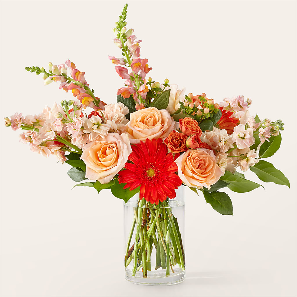 Paloma Please Bouquet – Nextdayflowers.net, Tontitown AR