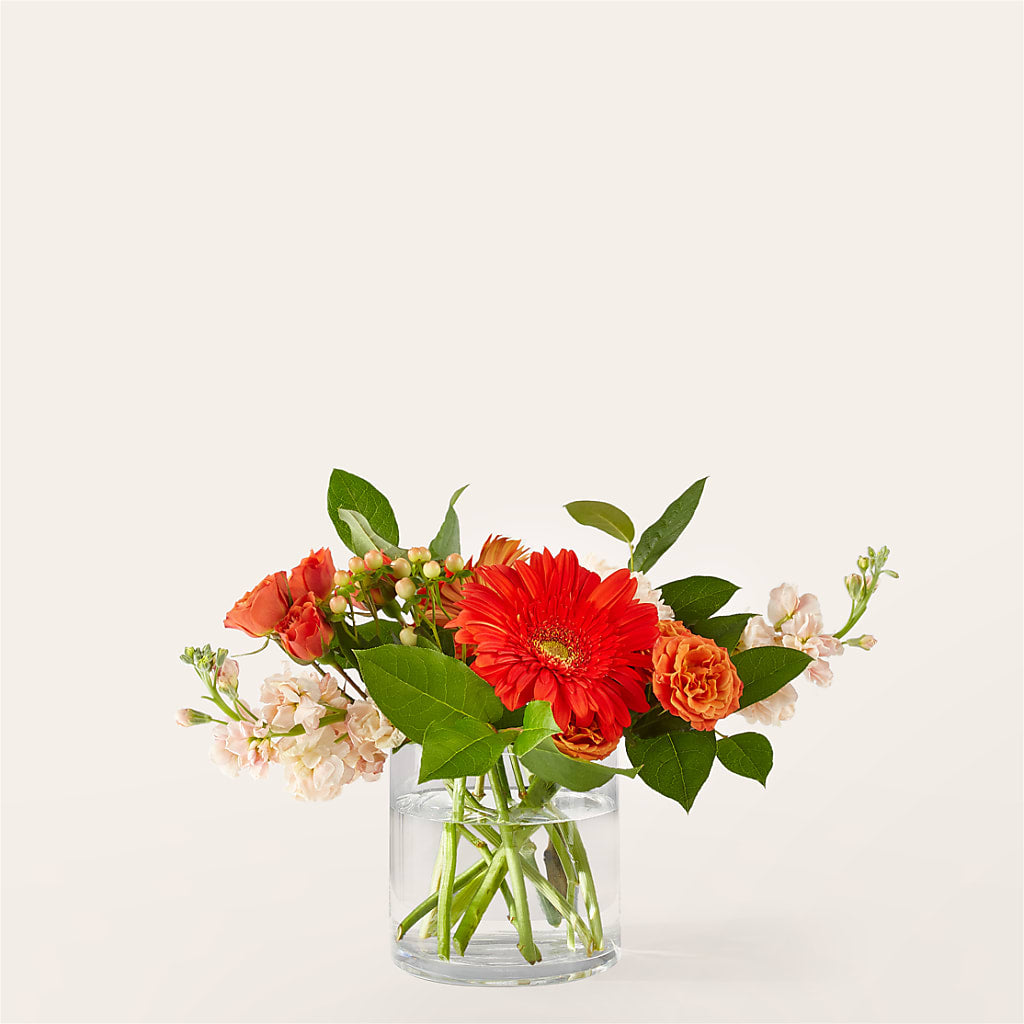 Paloma Please Bouquet – Nextdayflowers.net, Tontitown AR