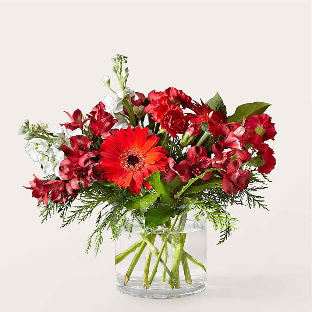 Holidaisy Bouquet – Nextdayflowers.net, Tontitown AR