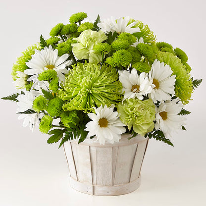 Lucky Charm Basket (Standard) –  Nextdayflowers.net, Tontitown AR