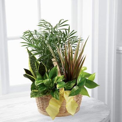 French Garden –  Nextdayflowers.net, Tontitown AR