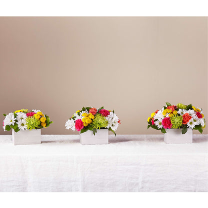 Sorbet Bouquet –  Nextdayflowers.net, Tontitown AR