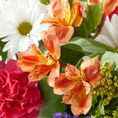 Oopsie Daisy Box Bouquet –  Nextdayflowers.net, Tontitown AR
