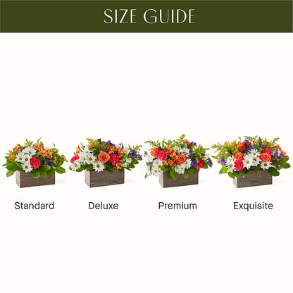 Oopsie Daisy Box Bouquet –  Nextdayflowers.net, Tontitown AR