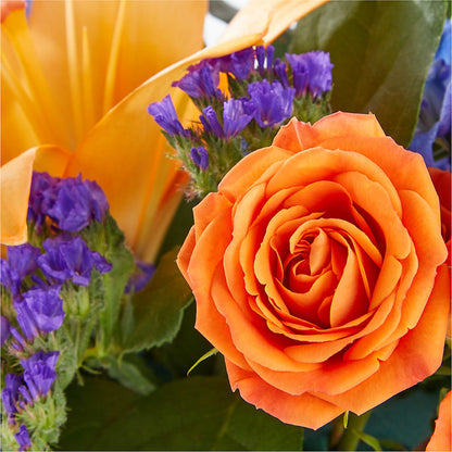 Radiant Citrus Box Bouquet –  Nextdayflowers.net, Tontitown AR