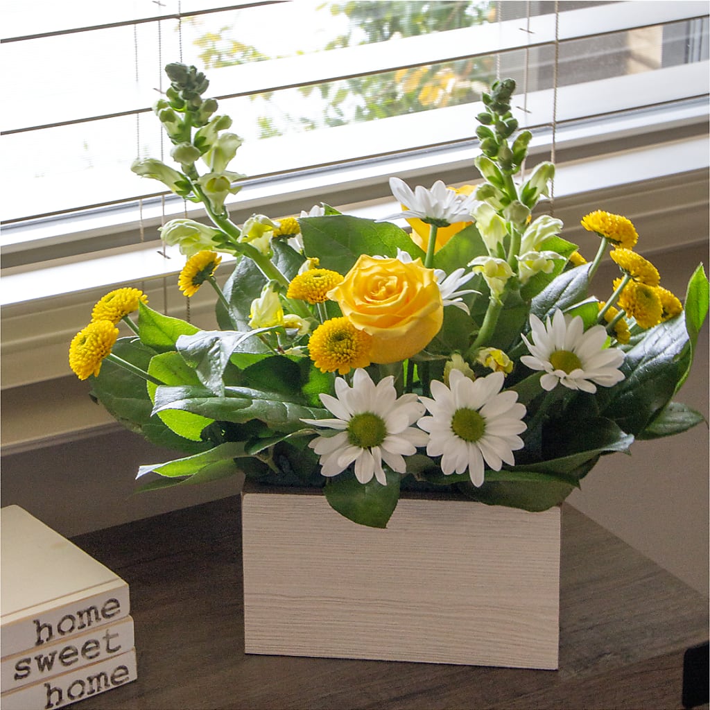 Sun Salutation Box Bouquet –  Nextdayflowers.net, Tontitown AR