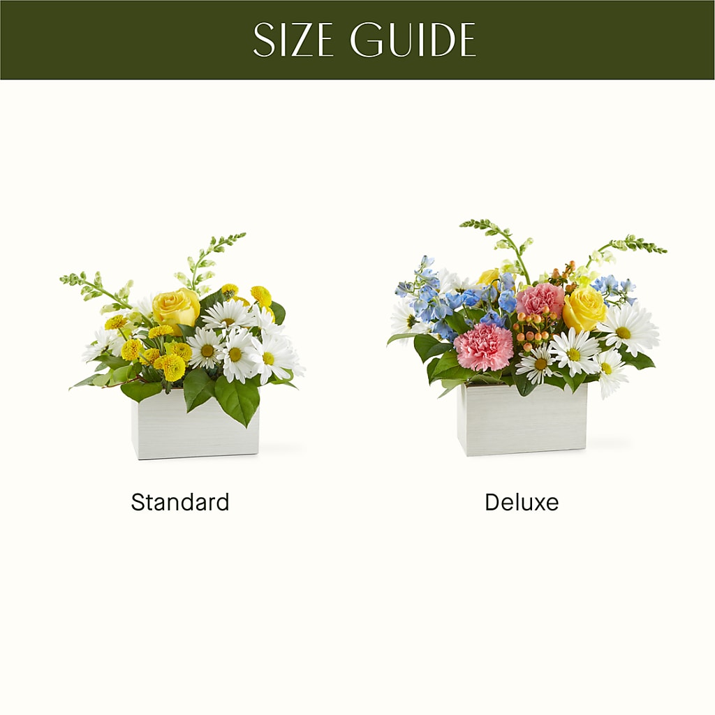 Sun Salutation Box Bouquet –  Nextdayflowers.net, Tontitown AR