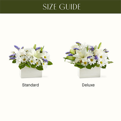 Beyond Blue Box Bouquet –  Nextdayflowers.net, Tontitown AR