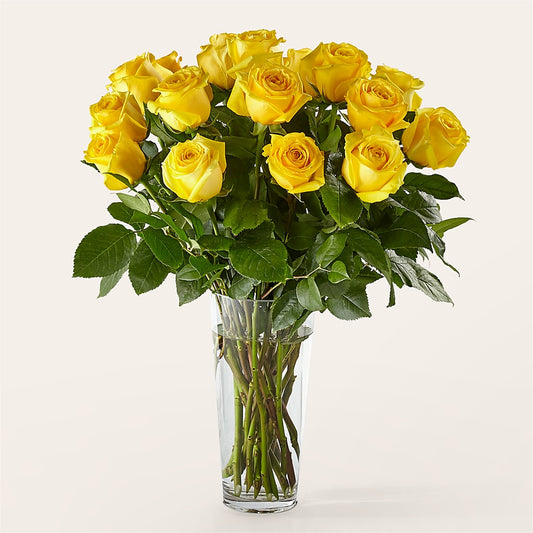 Long Stem Yellow Rose Bouquet –  Nextdayflowers.net, Tontitown AR