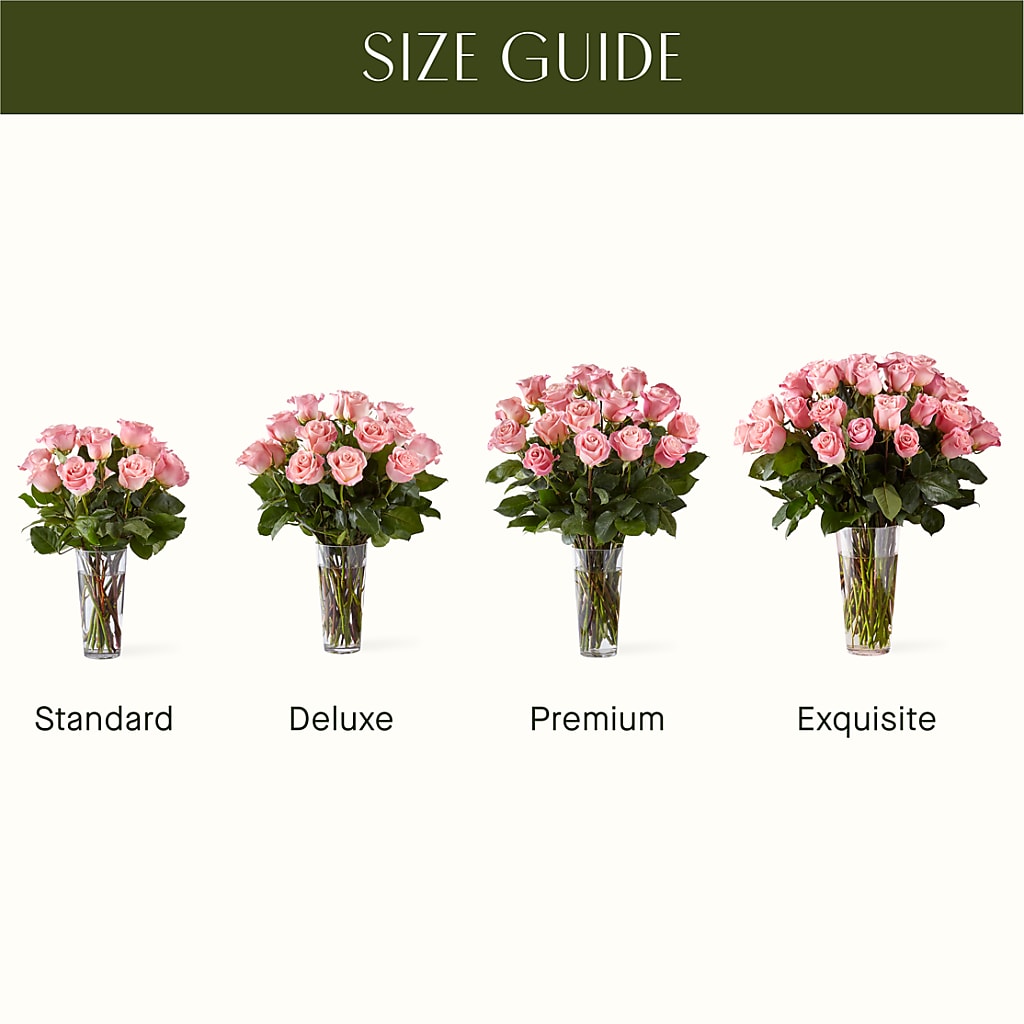 Long Stem Pink Rose Bouquet –  Nextdayflowers.net, Tontitown AR