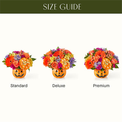 Tricks & Treats Pumpkin –  Nextdayflowers.net, Tontitown AR