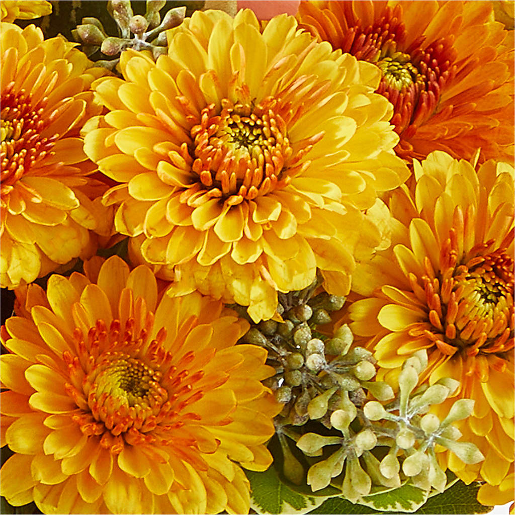 Peachy Pumpkin –  Nextdayflowers.net, Tontitown AR