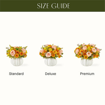 Peachy Pumpkin –  Nextdayflowers.net, Tontitown AR