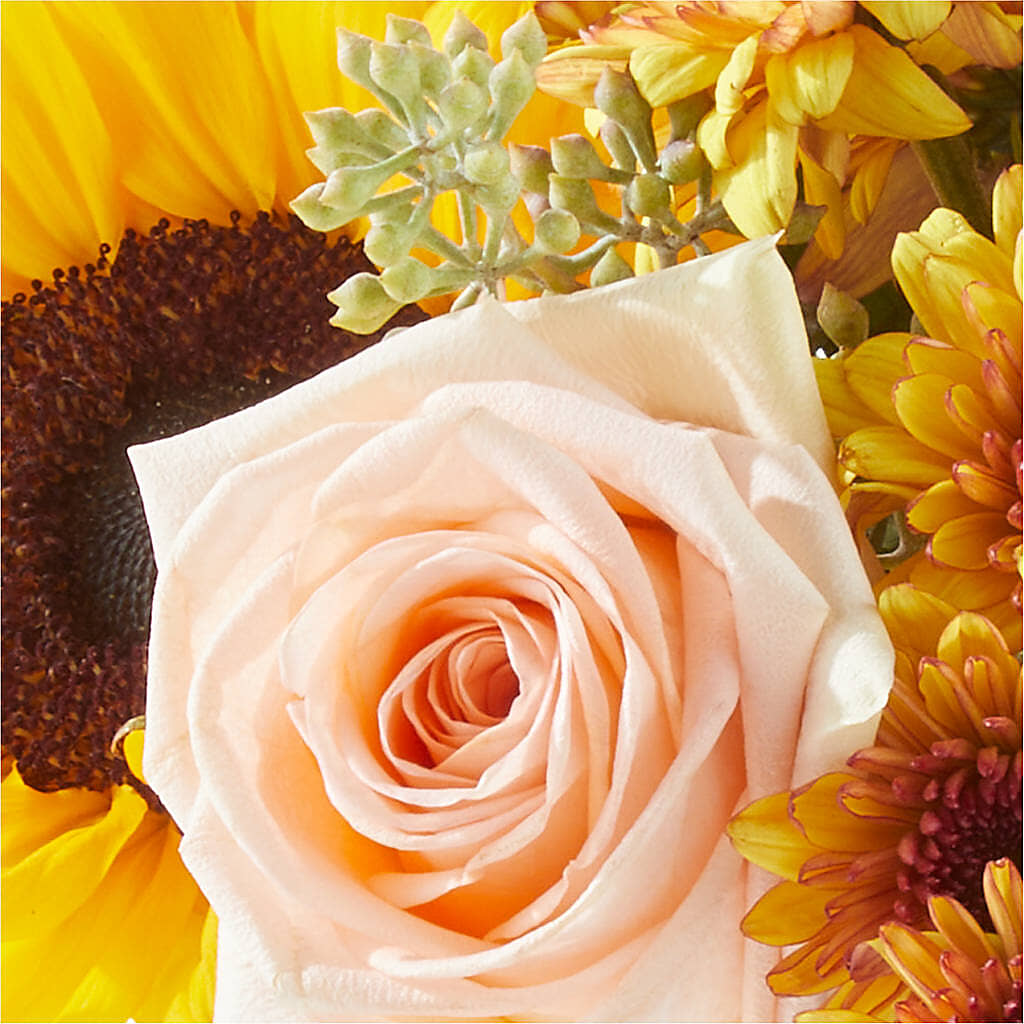 Pumpkin to Talk About Bouquet –  Nextdayflowers.net, Tontitown AR