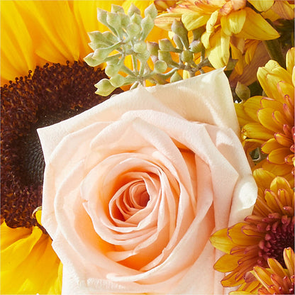 Pumpkin to Talk About Bouquet –  Nextdayflowers.net, Tontitown AR