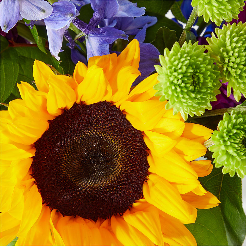 Catching Rays Bouquet –  Nextdayflowers.net, Tontitown AR