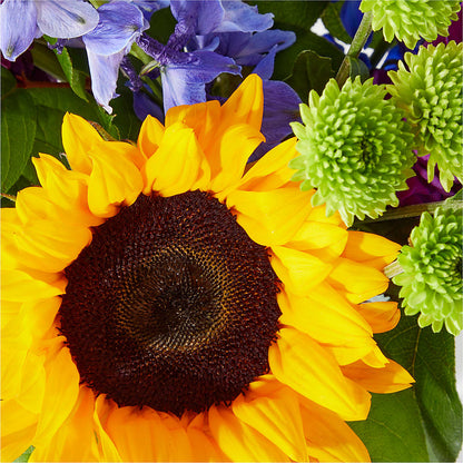 Catching Rays Bouquet –  Nextdayflowers.net, Tontitown AR