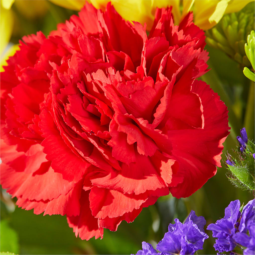 Brighter Days Bouquet –  Nextdayflowers.net, Tontitown AR