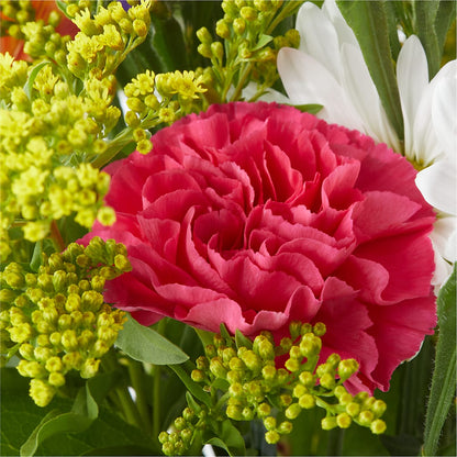 Oopsie Daisy Bouquet –  Nextdayflowers.net, Tontitown AR