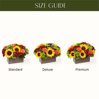 Happy Harvest Garden –  Nextdayflowers.net, Tontitown AR