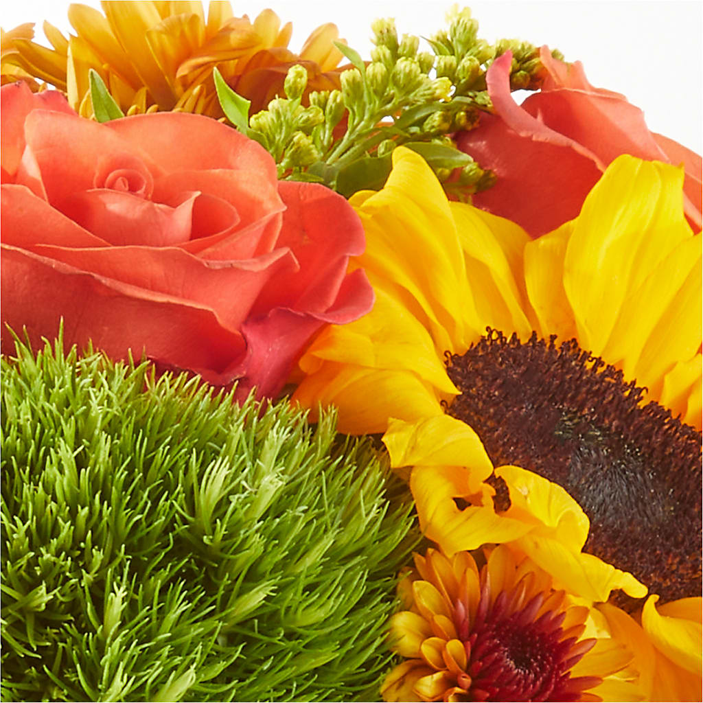 Farmer’s Market Stroll Bouquet –  Nextdayflowers.net, Tontitown AR