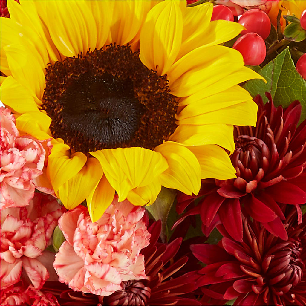 Fresh Cider Bouquet –  Nextdayflowers.net, Tontitown AR