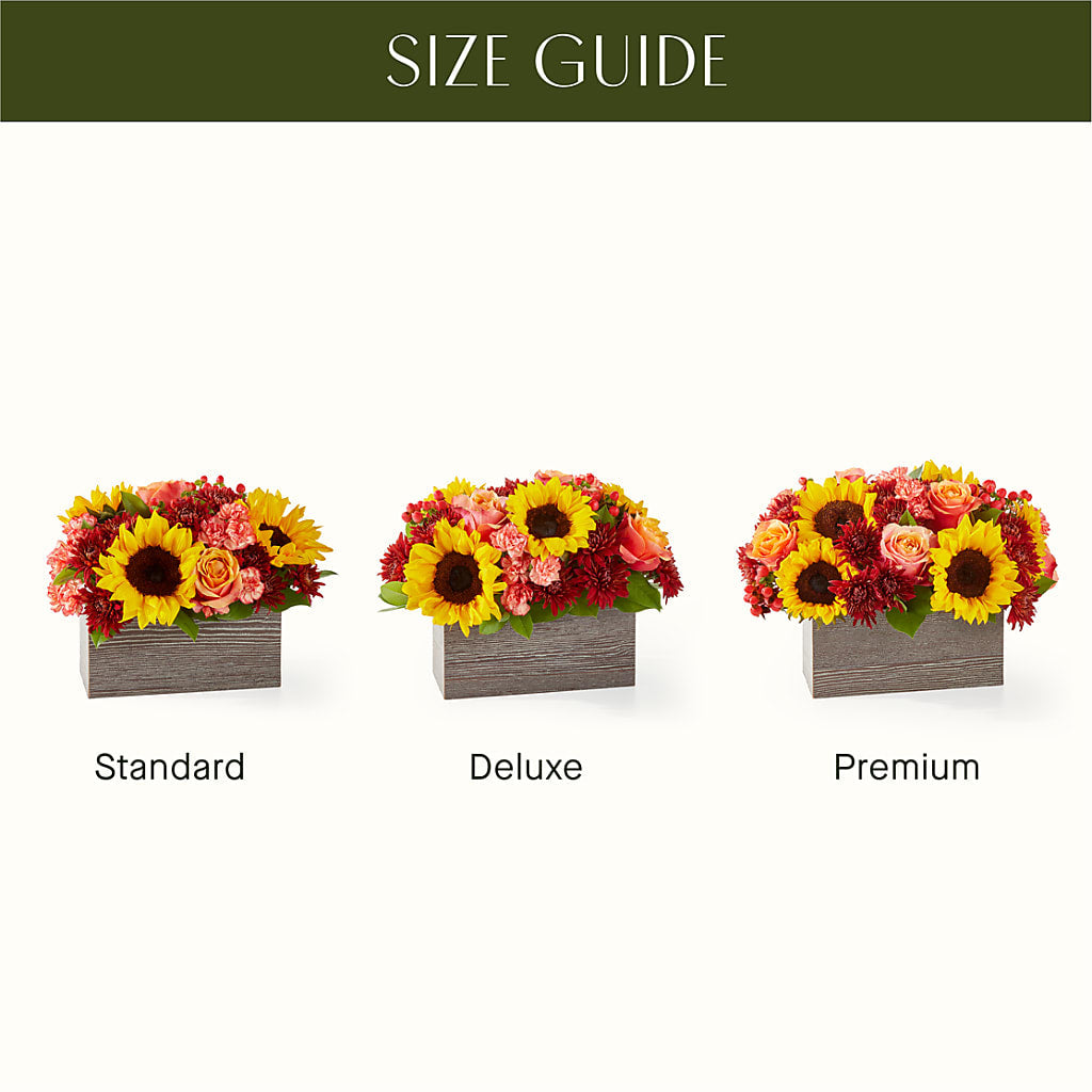 Fresh Cider Bouquet –  Nextdayflowers.net, Tontitown AR