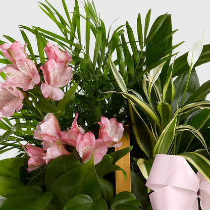Living Spirit Dishgarden –  Nextdayflowers.net, Tontitown AR
