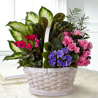 Peaceful Garden Planter –  Nextdayflowers.net, Tontitown AR