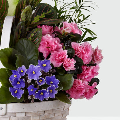 Peaceful Garden Planter –  Nextdayflowers.net, Tontitown AR
