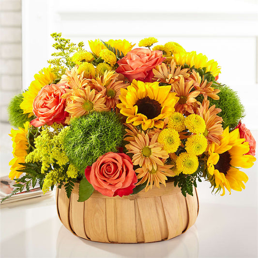 Harvest Sunflower Basket –  Nextdayflowers.net, Tontitown AR