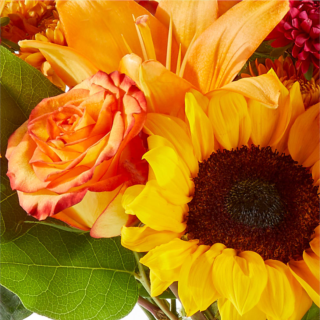 Fall Day Bouquet –  Nextdayflowers.net, Tontitown AR