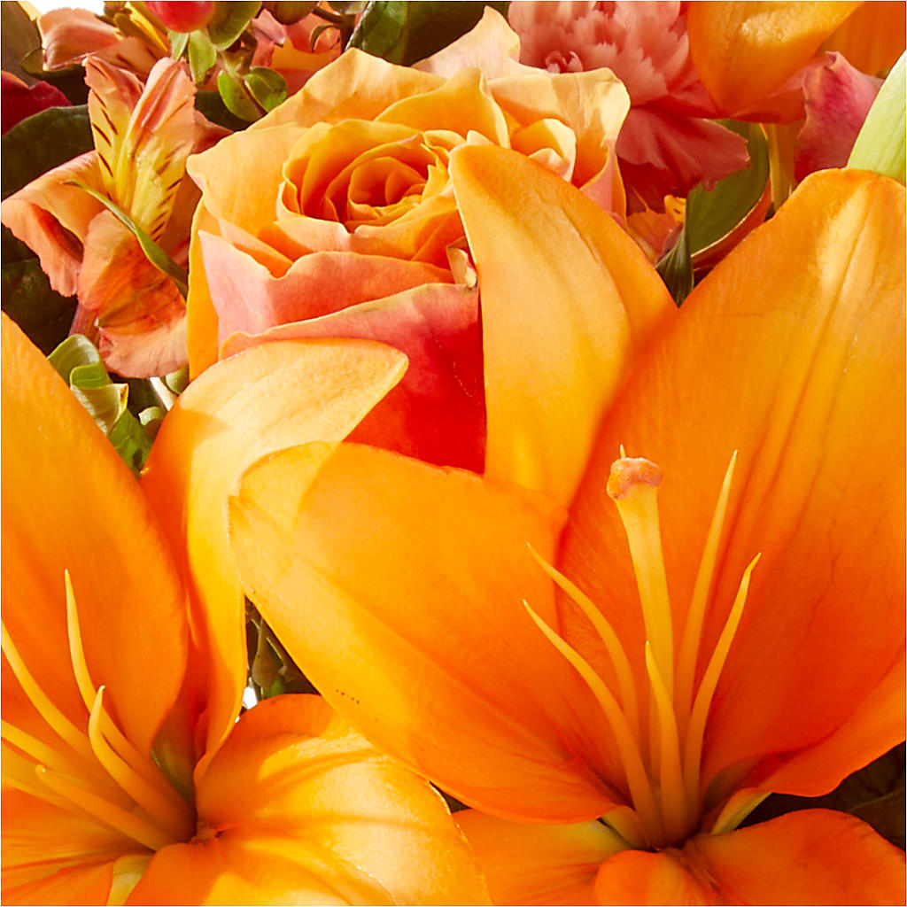 Afternoon Light Bouquet –  Nextdayflowers.net, Tontitown AR