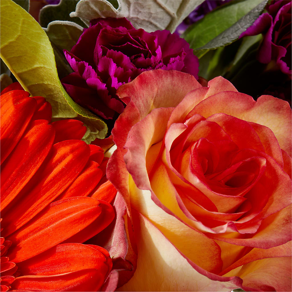 Sangria Bouquet –  Nextdayflowers.net, Tontitown AR