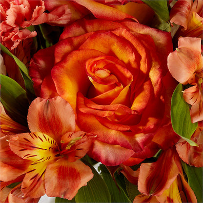 Apricot Glow Bouquet –  Nextdayflowers.net, Tontitown AR