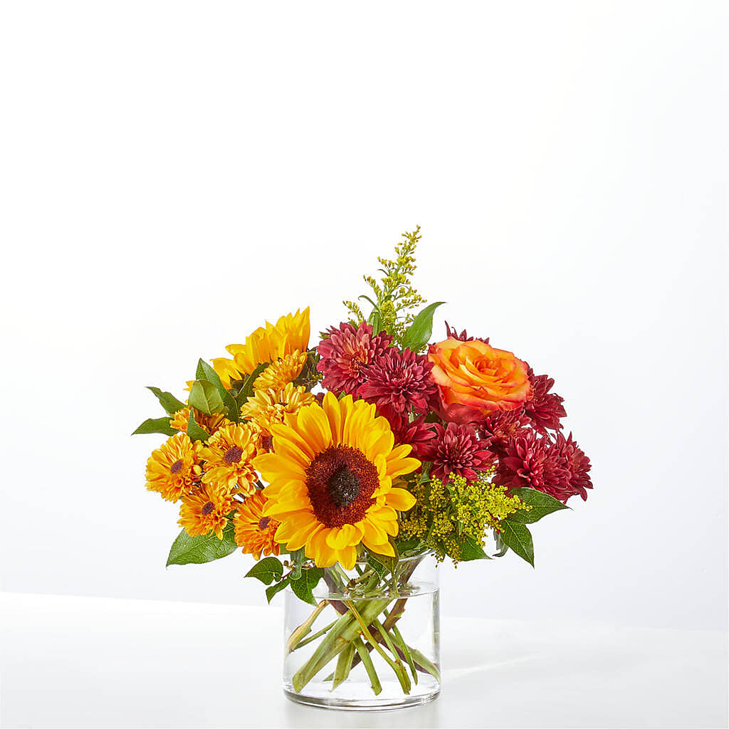 Flannel Scarf Bouquet –  Nextdayflowers.net, Tontitown AR