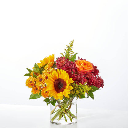 Flannel Scarf Bouquet –  Nextdayflowers.net, Tontitown AR