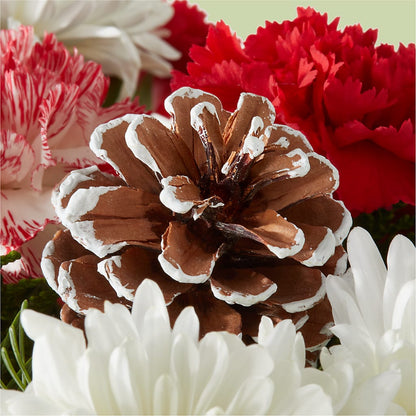 Candy Cane Lane Bouquet –  Nextdayflowers.net, Tontitown AR